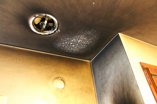 Cost of Smoke Damage Remediation in Westfield